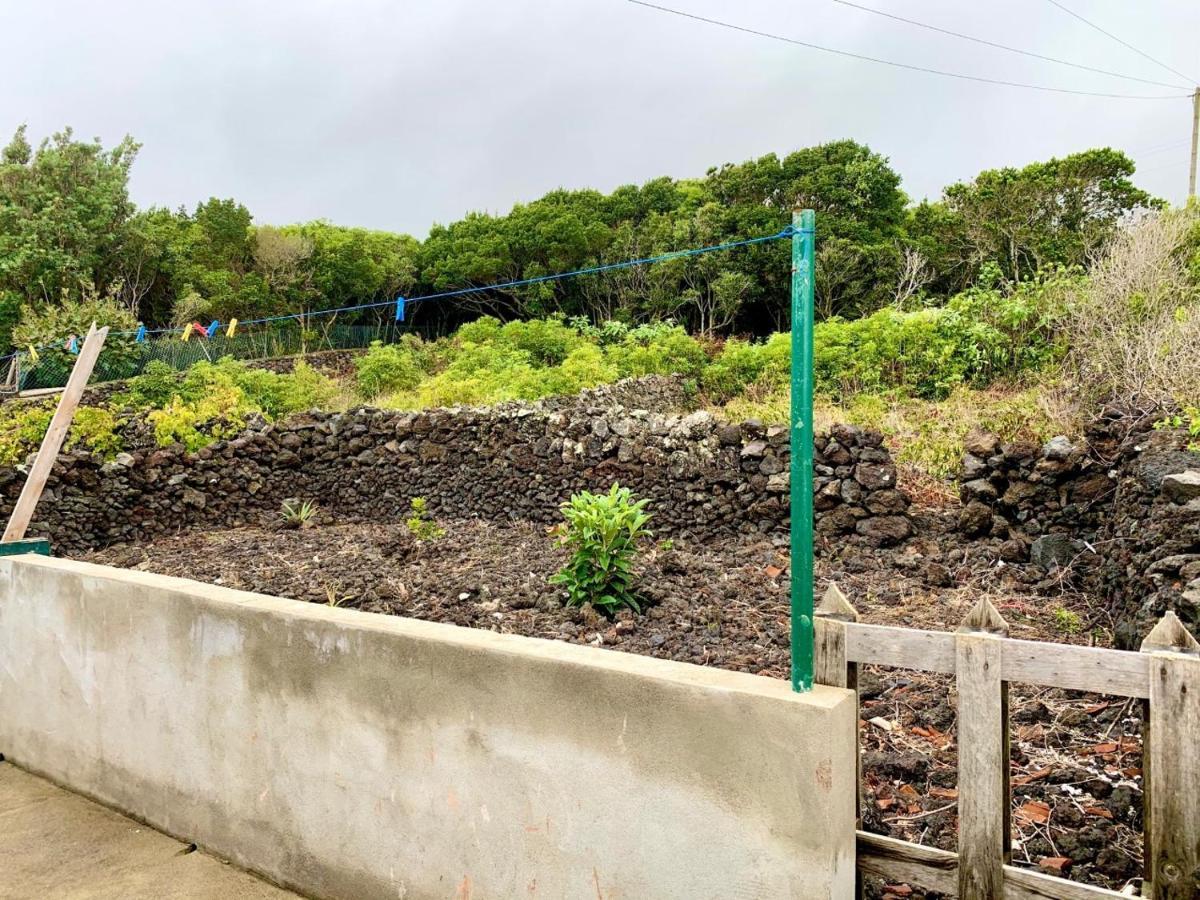 Casa Avo Sao Miguel Villa Angra do Heroismo Luaran gambar